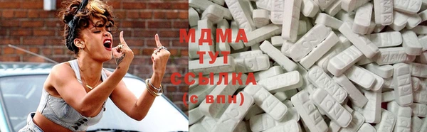 прущие грибы Богородицк