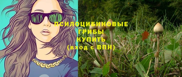 прущие грибы Богородицк