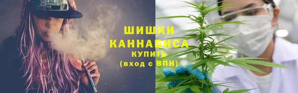 прущие грибы Богородицк