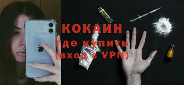 молекула духа Богородск