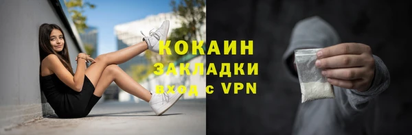 прущие грибы Богородицк