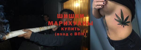 прущие грибы Богородицк