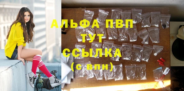 молекула духа Богородск