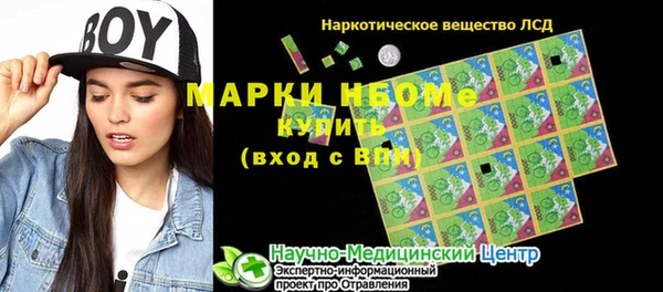 прущие грибы Богородицк
