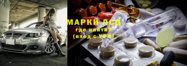прущие грибы Богородицк