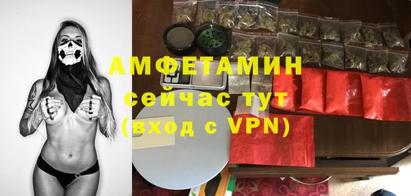 прущие грибы Богородицк