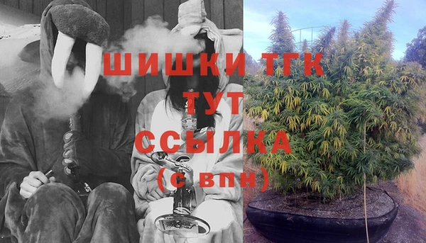 молекула духа Богородск