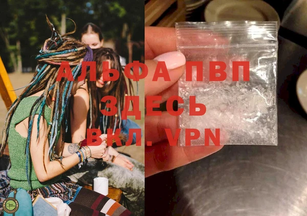 прущие грибы Богородицк