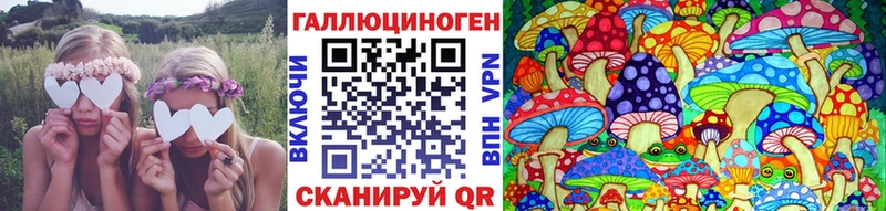 OMG ссылки Мезень Псилоцибиновые грибы MAGIC MUSHROOMS